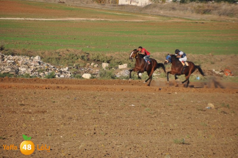 Khowoyouls ramala (11).JPG